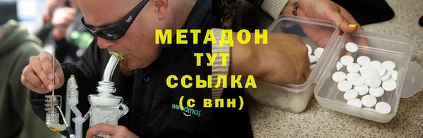 прущие грибы Арсеньев