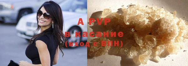 прущие грибы Арсеньев