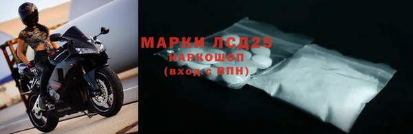 прущие грибы Арсеньев