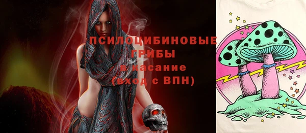 прущие грибы Арсеньев