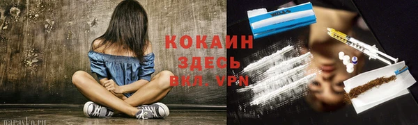 прущие грибы Арсеньев